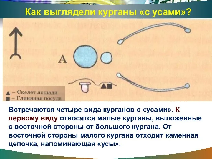 Встречаются четыре вида курганов с «усами». К первому виду относятся малые курганы,