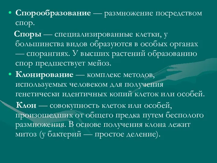 Спорообразование — размножение посредством спор. Споры — специализированные клетки, у большинства видов