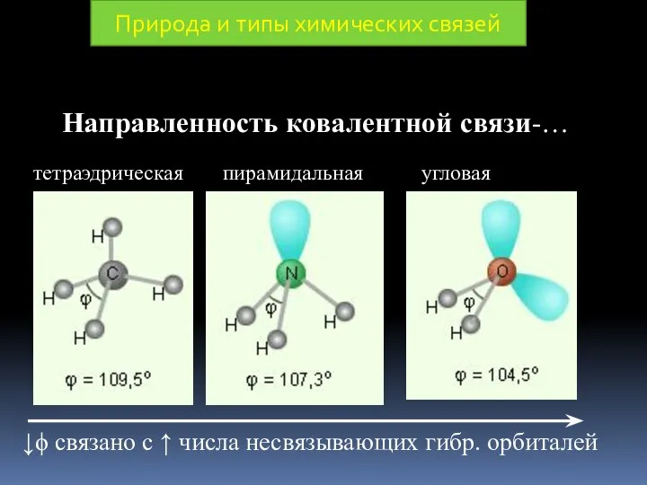 Направленность ковалентной связи-… Природа и типы химических связей