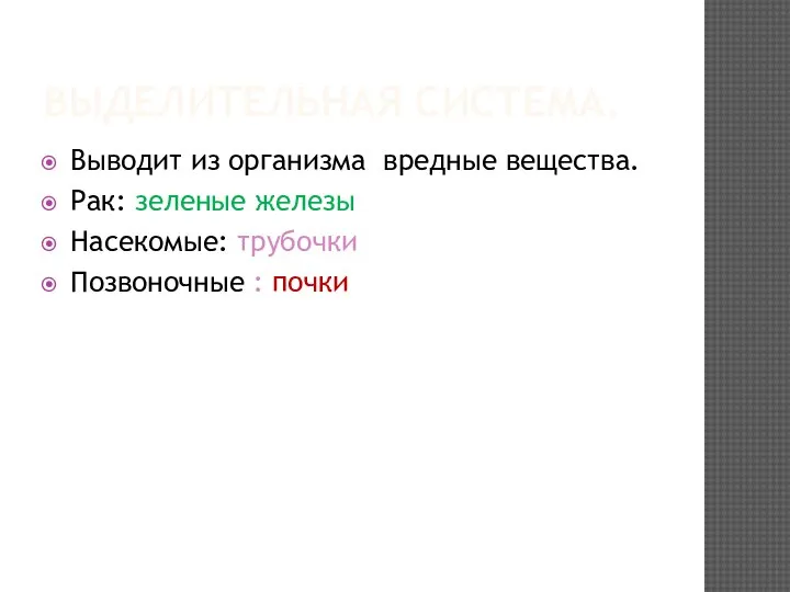 ВЫДЕЛИТЕЛЬНАЯ СИСТЕМА. Выводит из организма вредные вещества. Рак: зеленые железы Насекомые: трубочки Позвоночные : почки