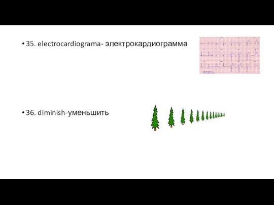 35. electrocardiograma- электрокардиограмма 36. diminish-уменьшить