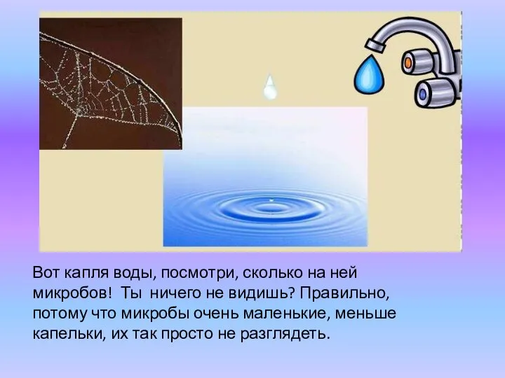 Вот капля воды, посмотри, сколько на ней микробов! Ты ничего не видишь?