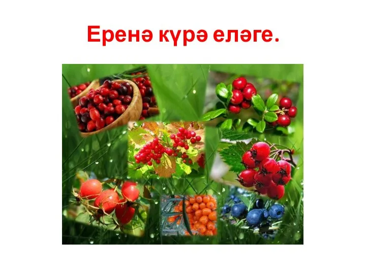 Еренә күрә еләге.