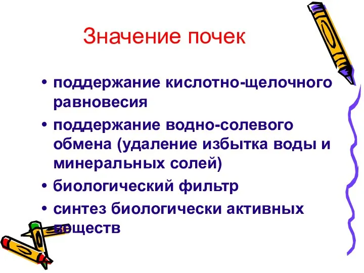 Значение почек поддержание кислотно-щелочного равновесия поддержание водно-солевого обмена (удаление избытка воды и