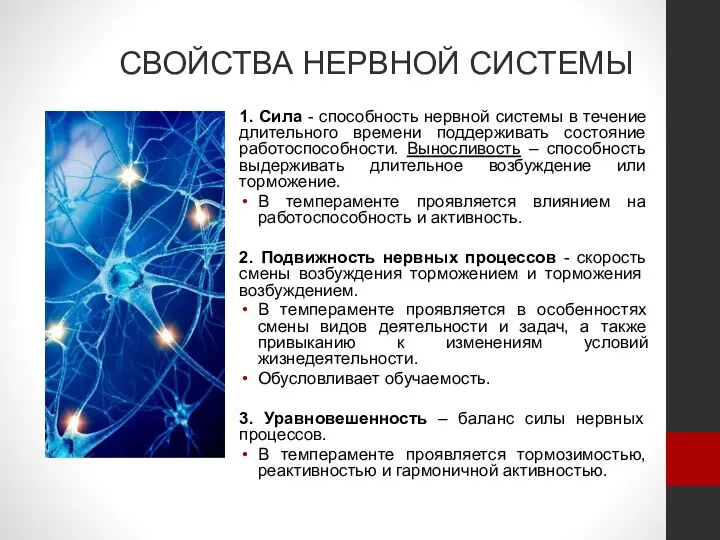 СВОЙСТВА НЕРВНОЙ СИСТЕМЫ 1. Сила - способность нервной системы в течение длительного