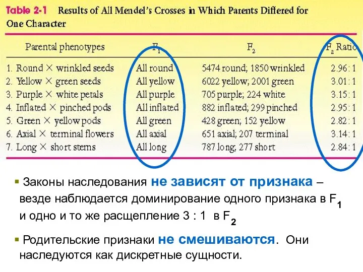 Законы наследования не зависят от признака – везде наблюдается доминирование одного признака