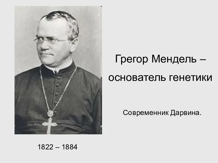 Грегор Мендель – основатель генетики Современник Дарвина. 1822 – 1884