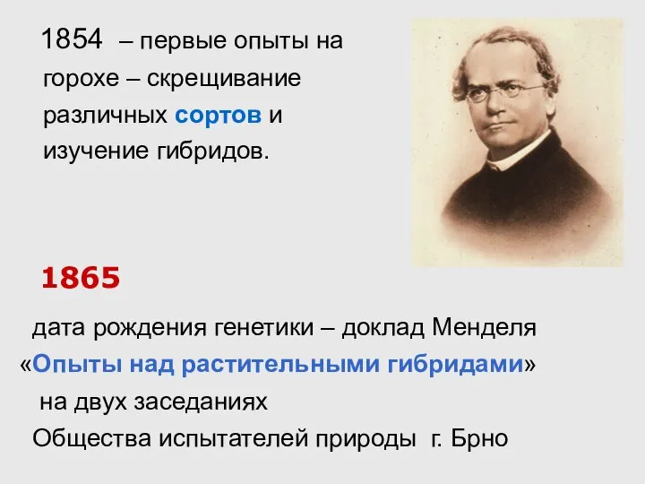 1854 – первые опыты на горохе – скрещивание различных сортов и изучение