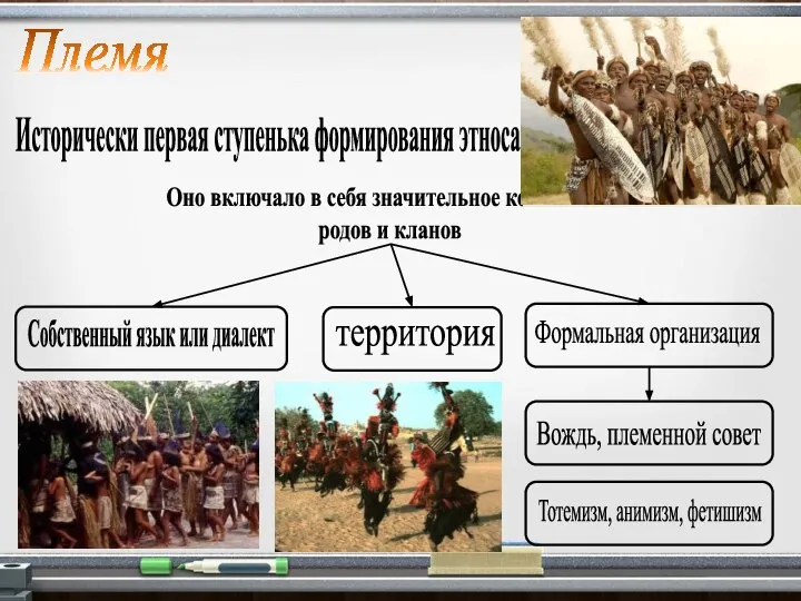 Племя Исторически первая ступенька формирования этноса. Оно включало в себя значительное количество