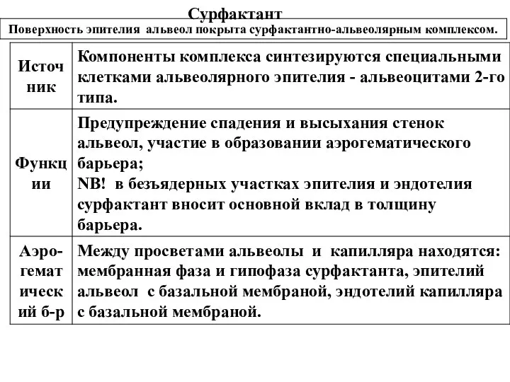 Сурфактант