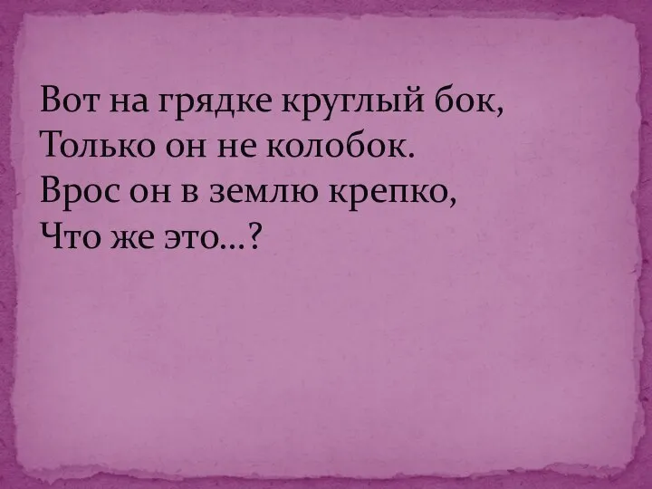 Вот на грядке круглый бок, Только он не колобок. Врос он в