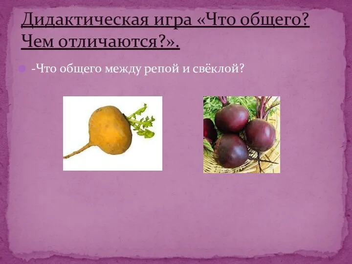 -Что общего между репой и свёклой? Дидактическая игра «Что общего? Чем отличаются?».