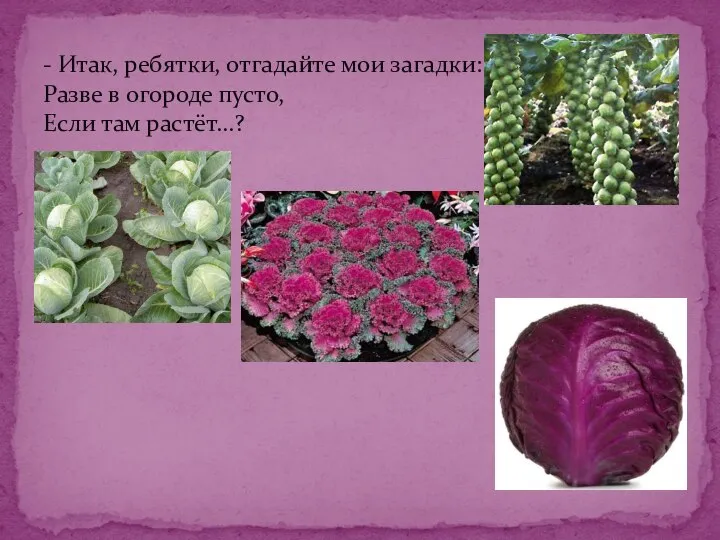 - Итак, ребятки, отгадайте мои загадки: Разве в огороде пусто, Если там растёт...?