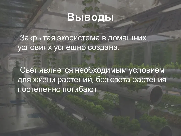 Выводы Закрытая экосистема в домашних условиях успешно создана. Свет является необходимым условием