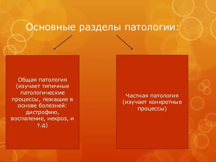 Основные разделы патологии: Общая патология (изучает типичные патологические процессы, лежащие в основе