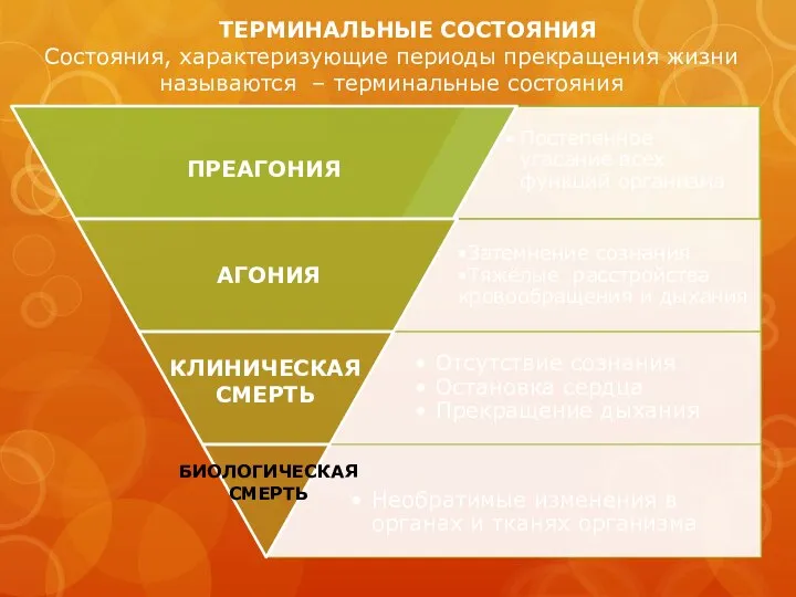 ТЕРМИНАЛЬНЫЕ СОСТОЯНИЯ ПРЕАГОНИЯ Состояния, характеризующие периоды прекращения жизни называются – терминальные состояния