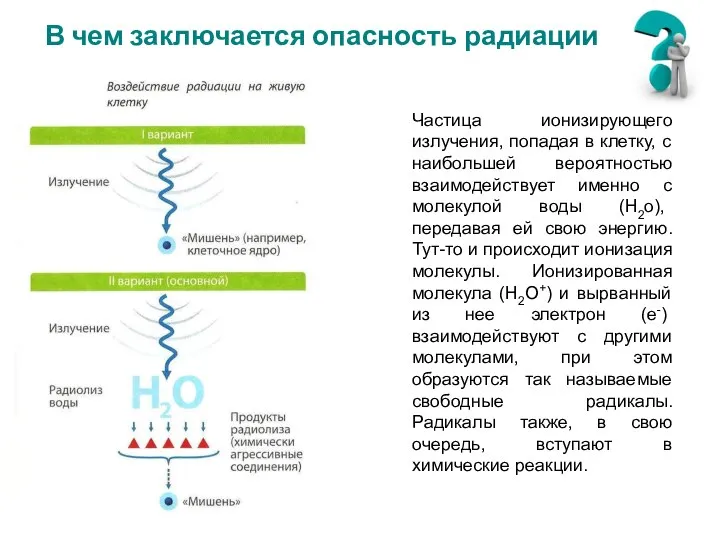 В чем заключается опасность радиации Частица ионизирующего излучения, попадая в клетку, с