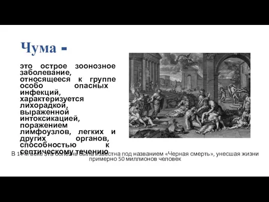 Чума - это острое зоонозное заболевание, относящееся к группе особо опасных инфекций,