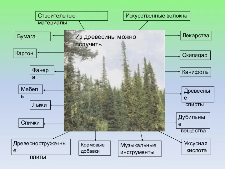 Строительные материалы Бумага Картон Фанера Мебель Искусственные волокна Лекарства Скипидар Канифоль Древесные