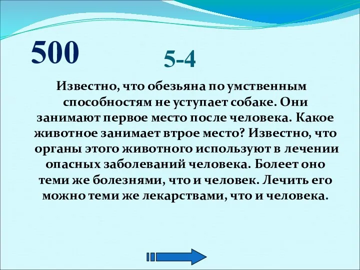 5-4 Известно, что обезьяна по умственным способностям не уступает собаке. Они занимают