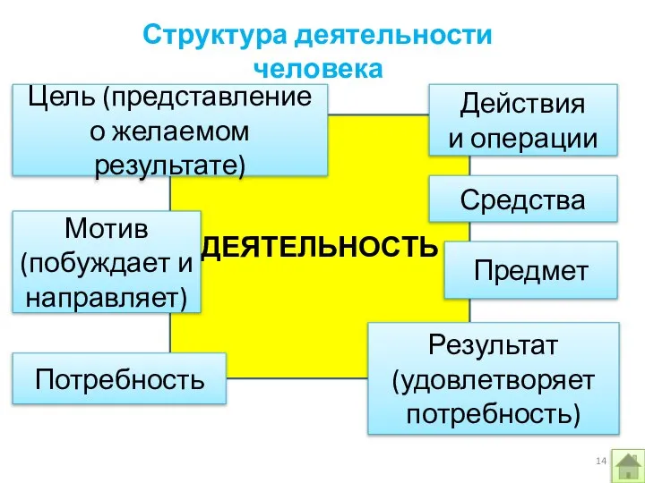 Структура деятельности человека ДЕЯТЕЛЬНОСТЬ Действия и операции Потребность Мотив (побуждает и направляет)