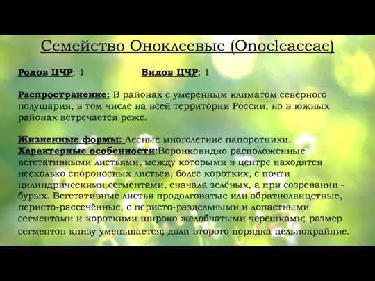 Семейство Оноклеевые (Onocleaceae) Родов ЦЧР: 1 Видов ЦЧР: 1 Распространение: В районах