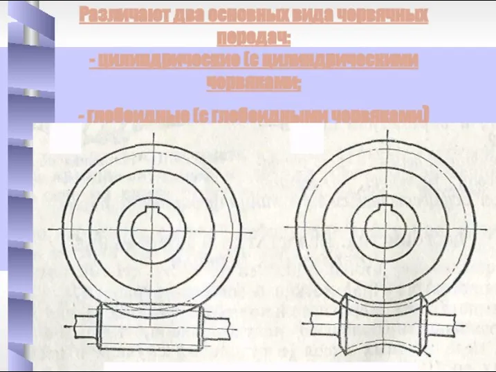 Различают два основных вида червячных передач: - цилиндрические (с цилиндрическими червяками; - глобоидные (с глобоидными червяками)