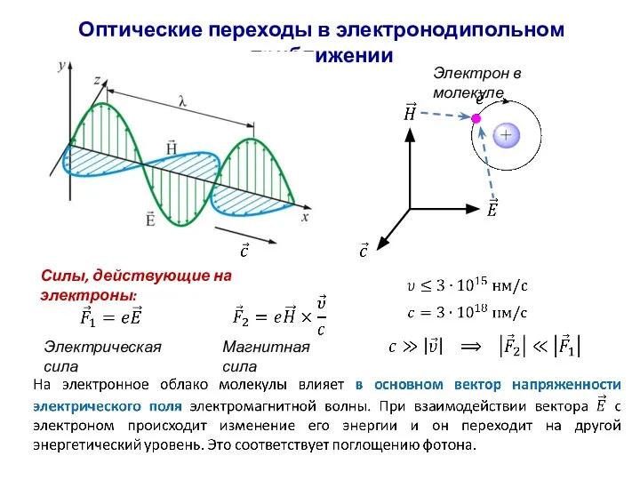 Оптические переходы в электронодипольном приближении Силы, действующие на электроны: Электрон в молекуле Электрическая сила Магнитная сила