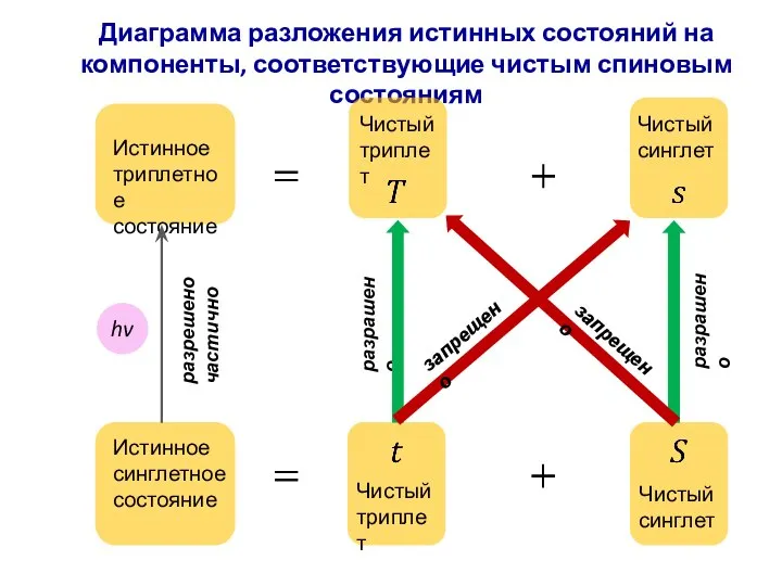 Диаграмма разложения истинных состояний на компоненты, соответствующие чистым спиновым состояниям