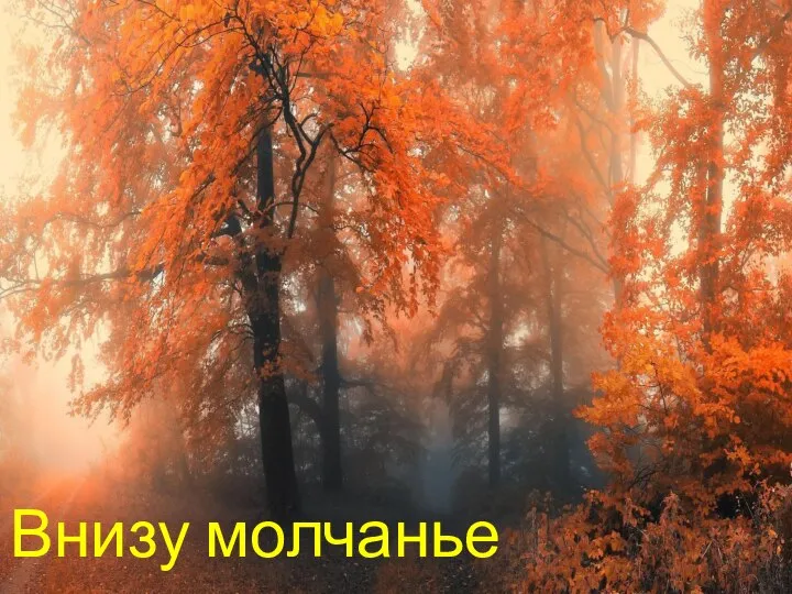 Внизу молчанье увяданья…