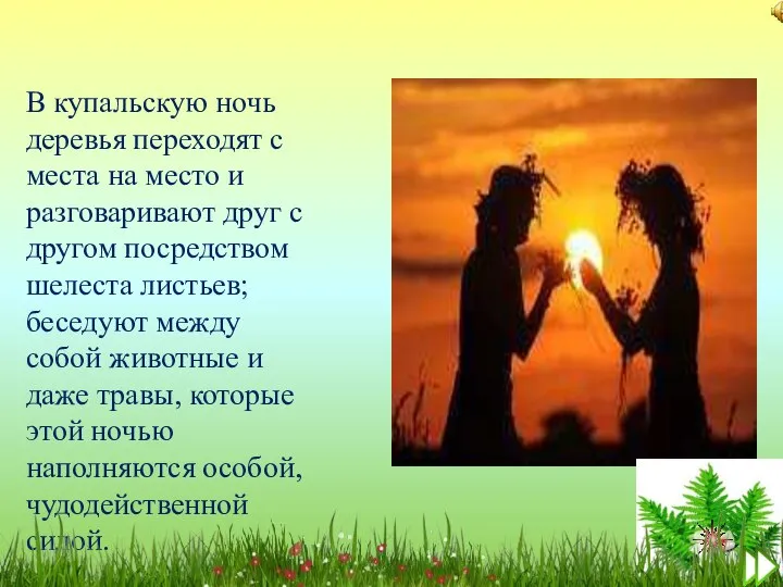 В купальскую ночь деревья переходят с места на место и разговаривают друг