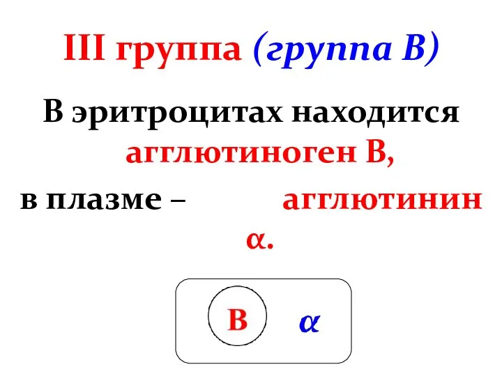 III группа (группа В) В эритроцитах находится агглютиноген В, в плазме – агглютинин α.