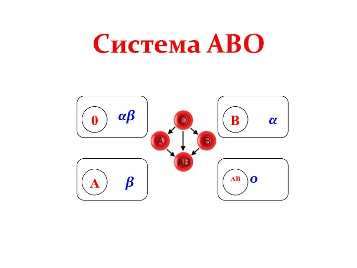 β α Система АВО