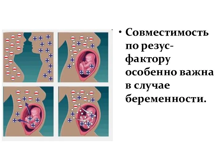 Совместимость по резус-фактору особенно важна в случае беременности.