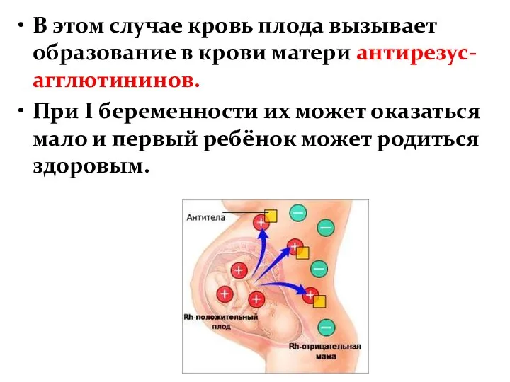 В этом случае кровь плода вызывает образование в крови матери антирезус-агглютининов. При