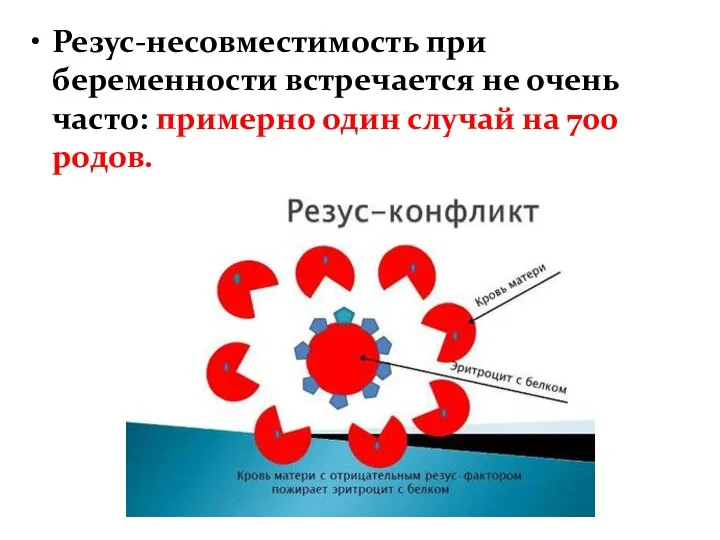 Резус-несовместимость при беременности встречается не очень часто: примерно один случай на 700 родов.