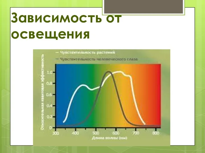 Зависимость от освещения