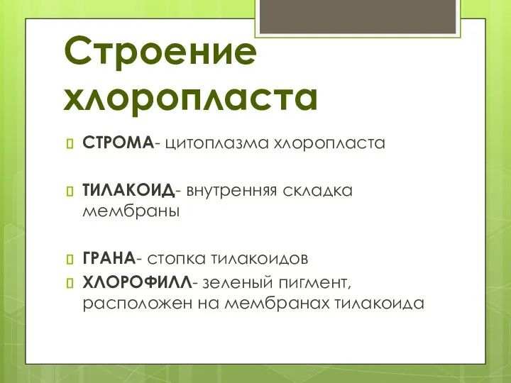 Строение хлоропласта СТРОМА- цитоплазма хлоропласта ТИЛАКОИД- внутренняя складка мембраны ГРАНА- стопка тилакоидов