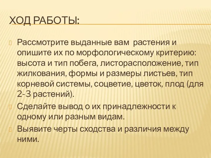 ХОД РАБОТЫ: Рассмотрите выданные вам растения и опишите их по морфологическому критерию: