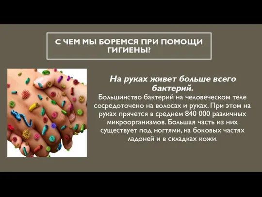 С ЧЕМ МЫ БОРЕМСЯ ПРИ ПОМОЩИ ГИГИЕНЫ? На руках живет больше всего