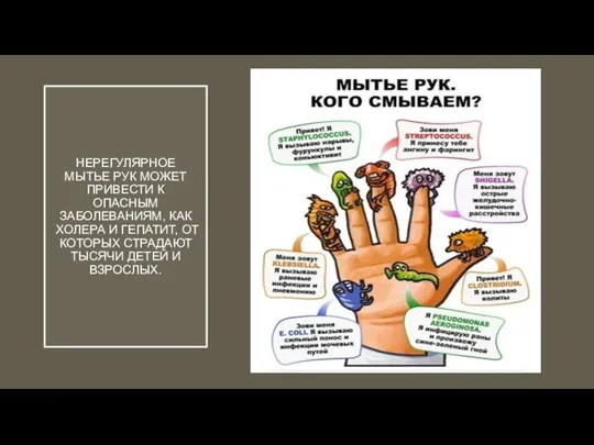 НЕРЕГУЛЯРНОЕ МЫТЬЕ РУК МОЖЕТ ПРИВЕСТИ К ОПАСНЫМ ЗАБОЛЕВАНИЯМ, КАК ХОЛЕРА И ГЕПАТИТ,