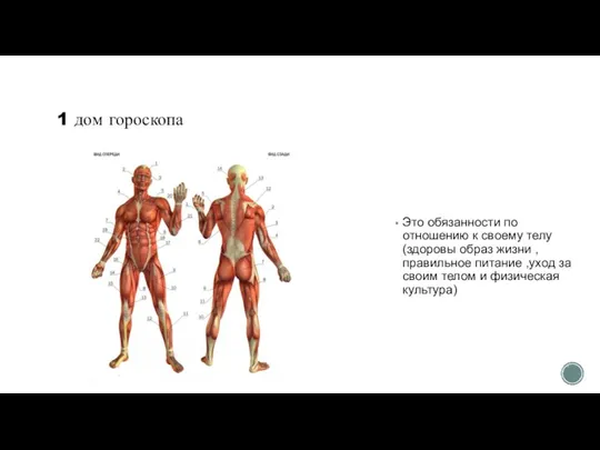 1 дом гороскопа Это обязанности по отношению к своему телу (здоровы образ