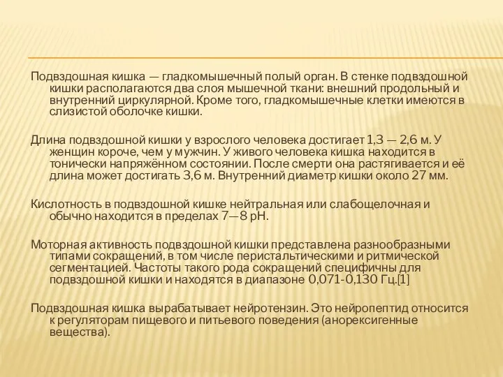 Подвздошная кишка — гладкомышечный полый орган. В стенке подвздошной кишки располагаются два