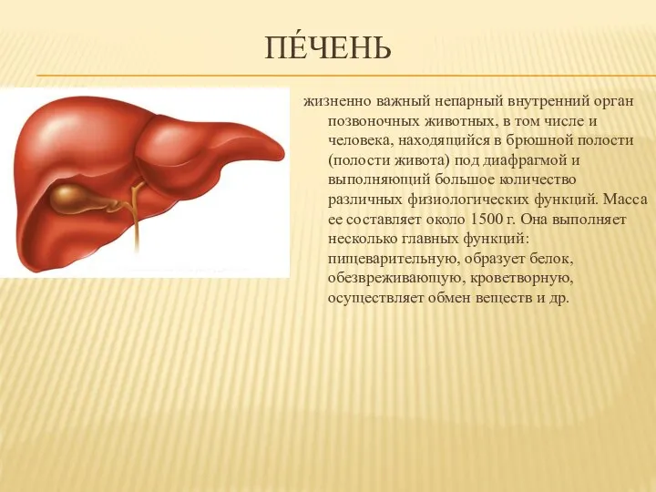 ПЕ́ЧЕНЬ жизненно важный непарный внутренний орган позвоночных животных, в том числе и