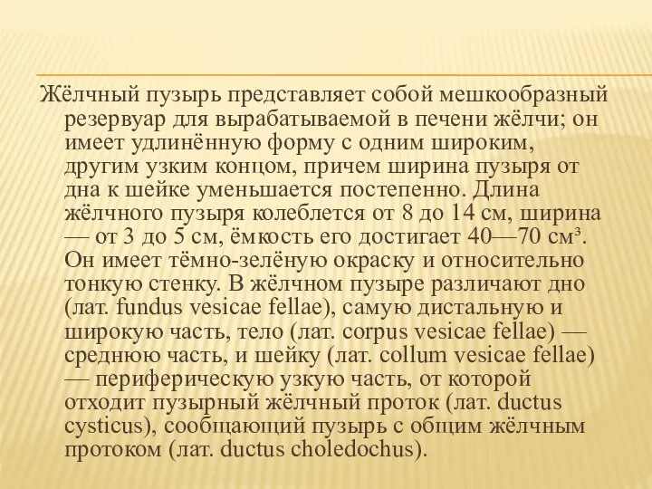 Жёлчный пузырь представляет собой мешкообразный резервуар для вырабатываемой в печени жёлчи; он