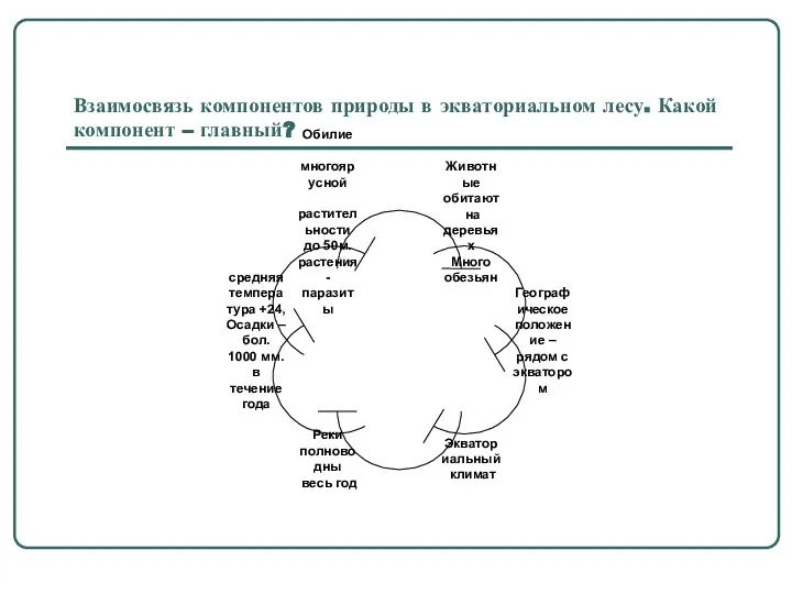 Взаимосвязь компонентов природы в экваториальном лесу. Какой компонент – главный?