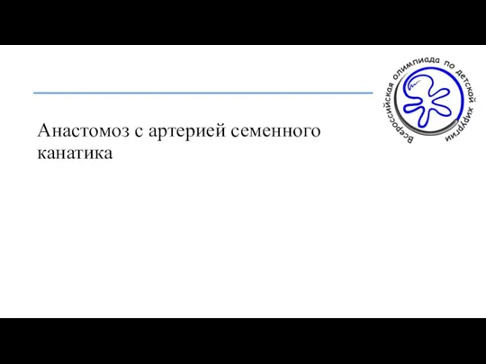 Анастомоз с артерией семенного канатика