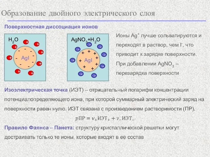 Образование двойного электрического слоя Поверхностная диссоциация ионов Ионы Ag+ лучше сольватируются и