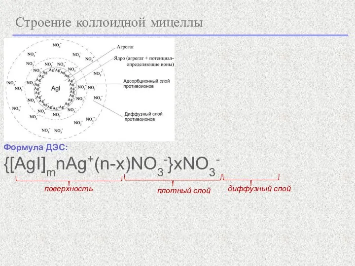 Строение коллоидной мицеллы