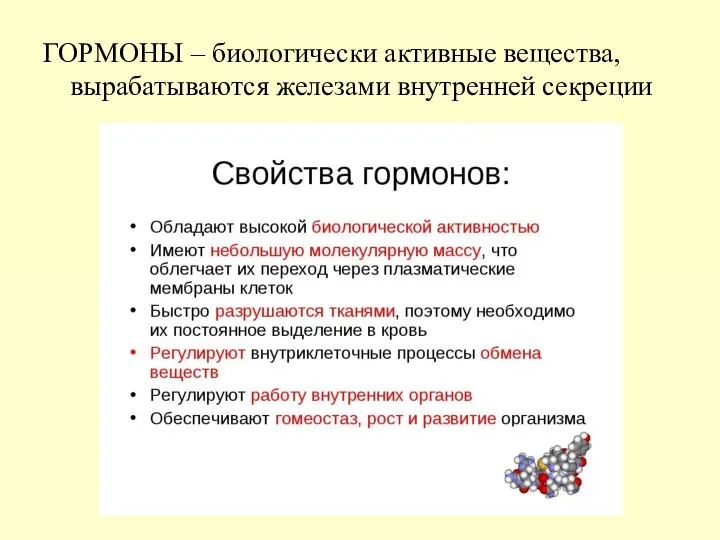 ГОРМОНЫ – биологически активные вещества, вырабатываются железами внутренней секреции